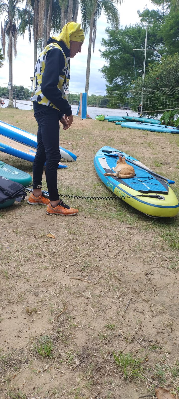 Imagen de WhatsApp 2025-10-30 a las 22.21