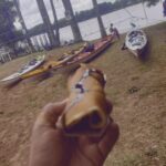 Imagen de WhatsApp 2025-11-16 a las 19.57