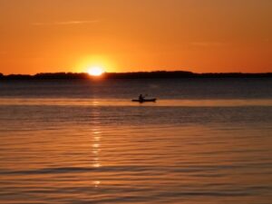 WhatsApp Image 2025-12-15 at 11.05