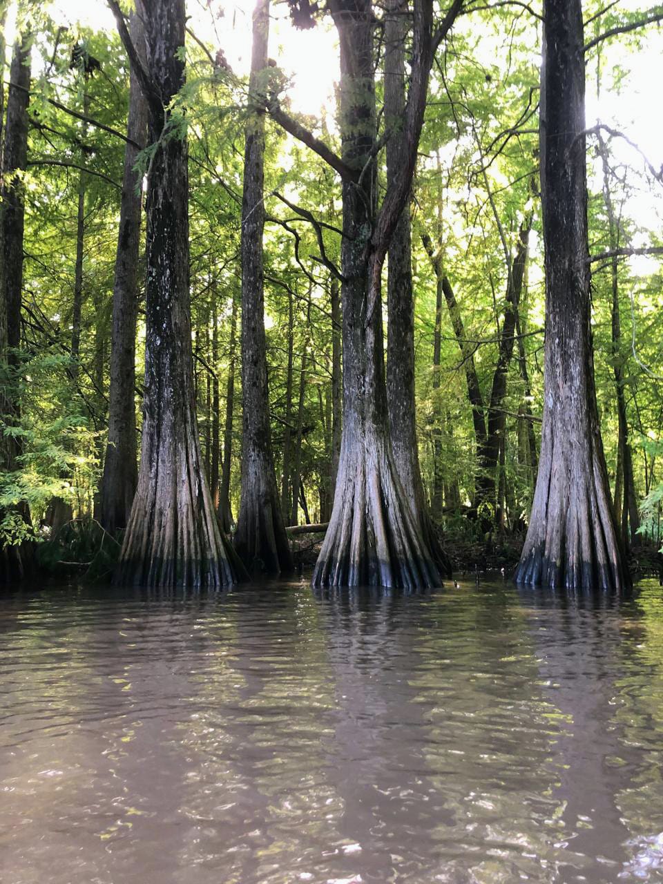 WhatsApp Image 2025-12-15 at 12.11