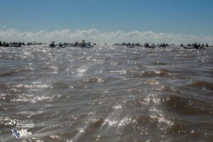 490732734_1219889863473184_324002535028463686_n