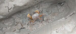 IMG_20231209_172715426