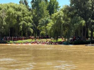 WhatsApp Image 2026-02-09 at w11