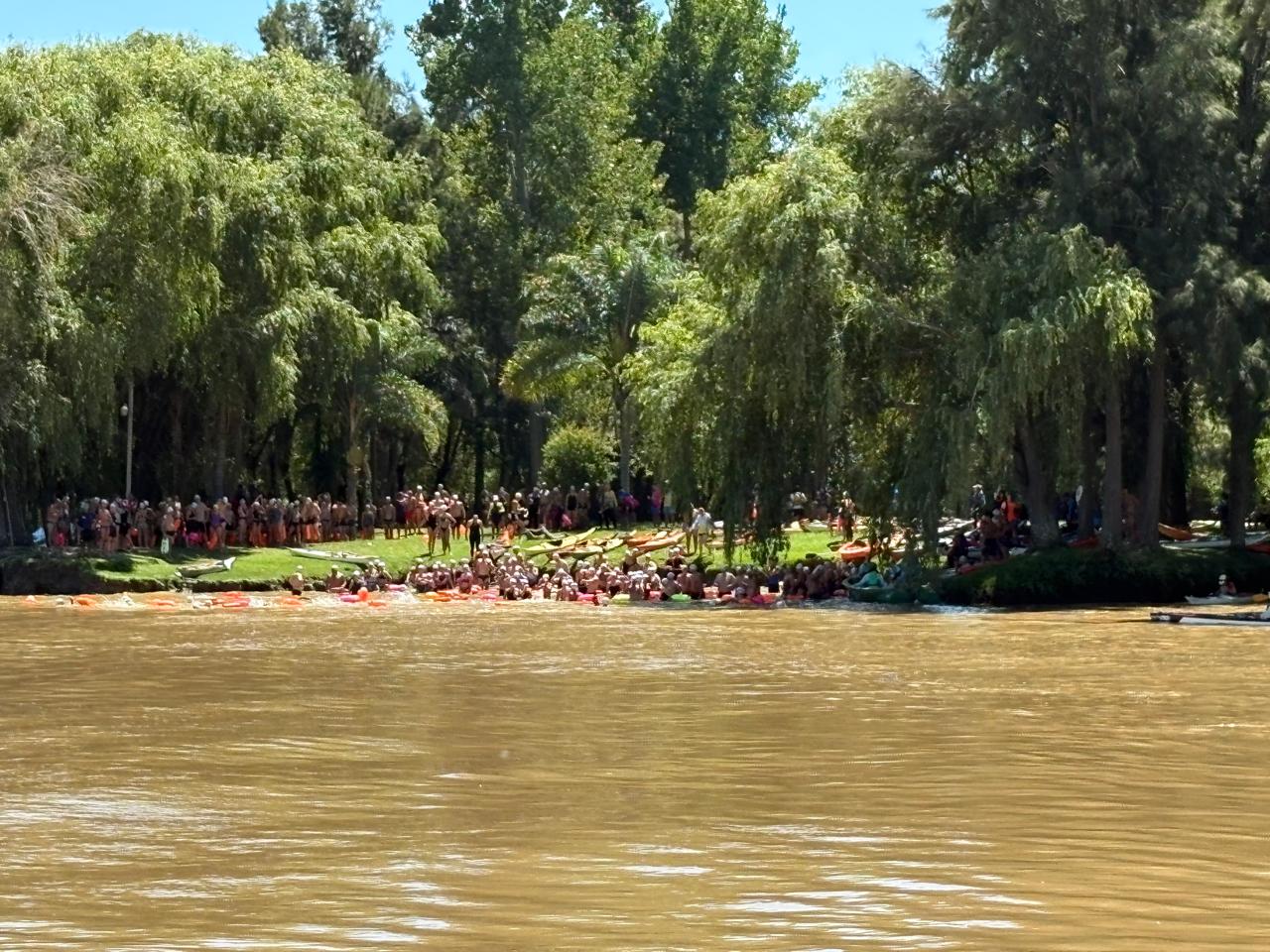 WhatsApp Image 2026-02-09 at w11