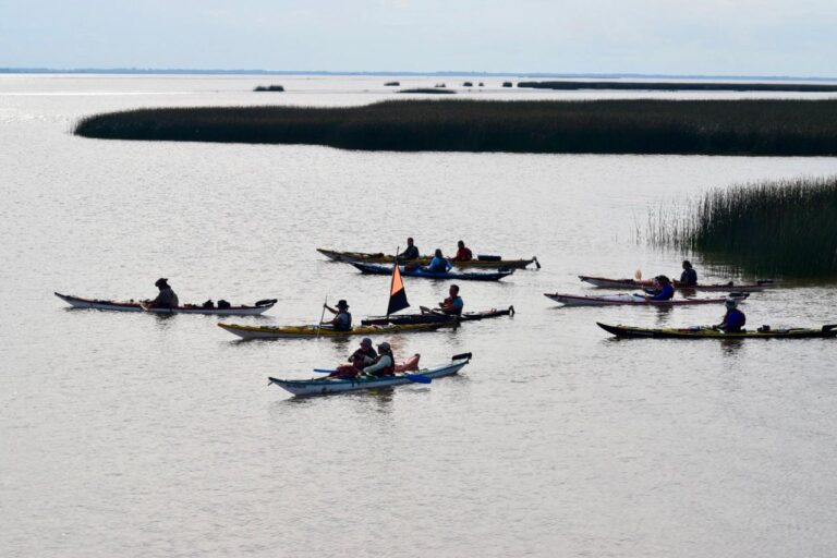 WhatsApp Image 2026-04-07 at 10.30